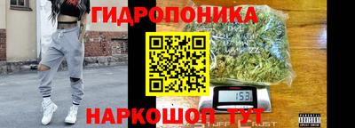 каннабис Кингисепп