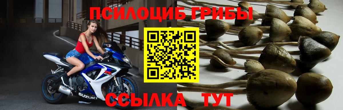 Галлюциногенные грибы Magic Shrooms  Вход с VPN  Черногорск 
